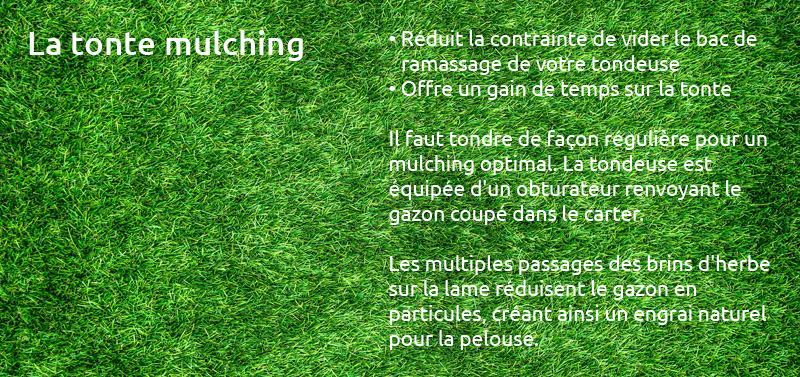 La tonte mulching